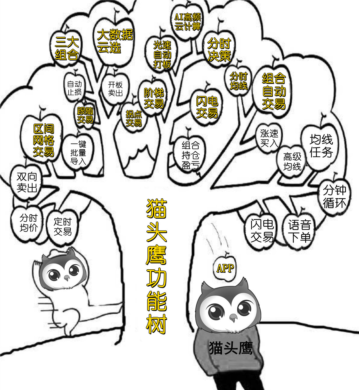 ��èͷӥ��Ʊ�Զ�������������������ʲô��