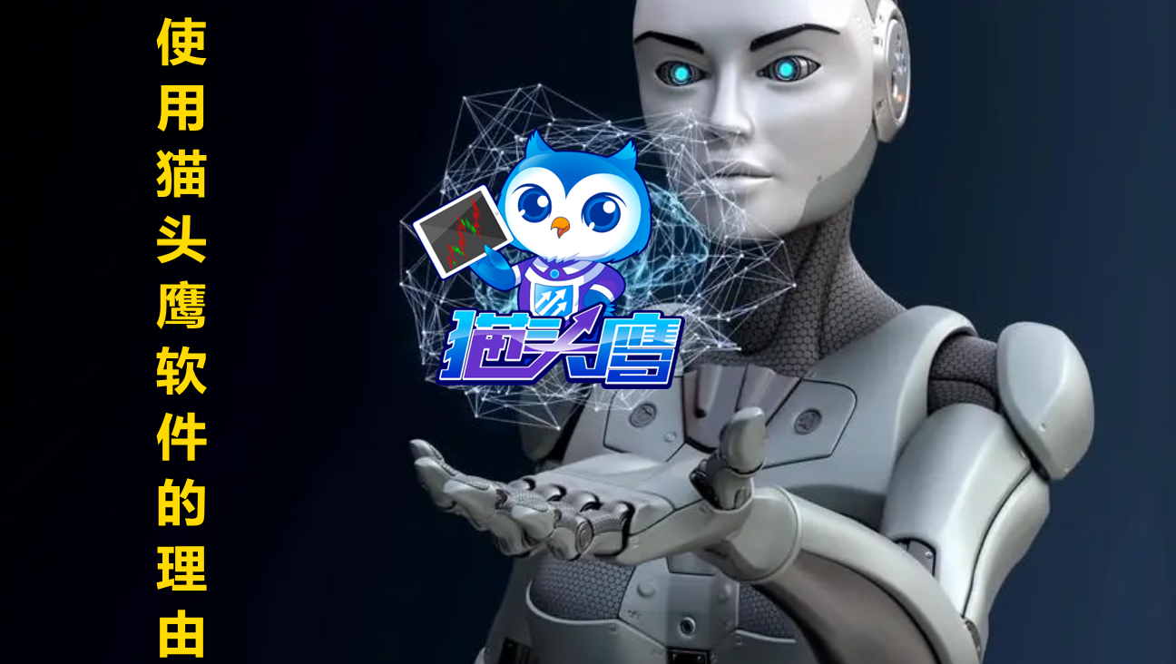 ʹ��èͷӥ��Ʊ�Զ�������������ʲô�ô�����ʹ��èͷӥ���������ɣ�