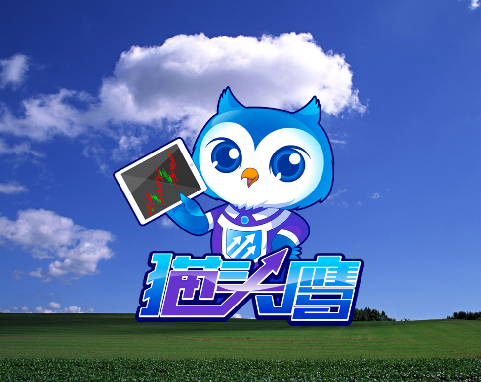 Ϊʲôѡ��èͷӥ��Ʊ�Զ�����������