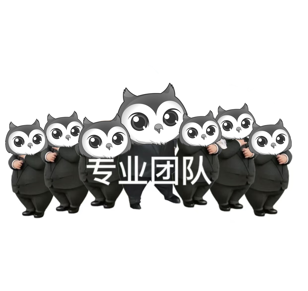 ��������Ͷ�ʵ�δ������èͷӥ��Ʊ�Զ���������������